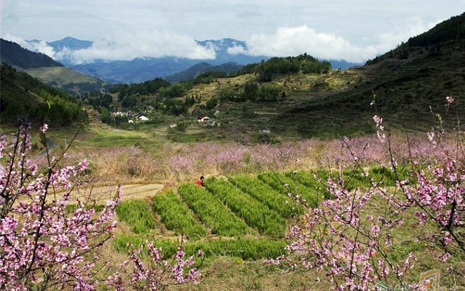 　　景宁旅游