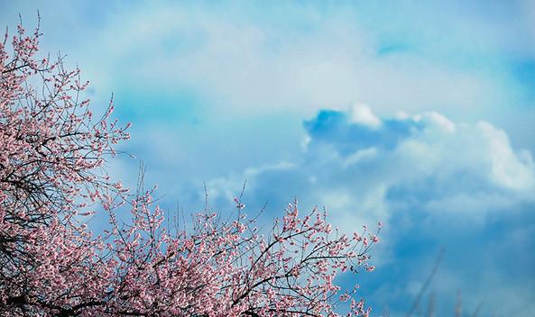 　林芝旅游攻略